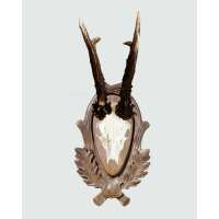 Lesen Skullstore GmbH Bewertungen